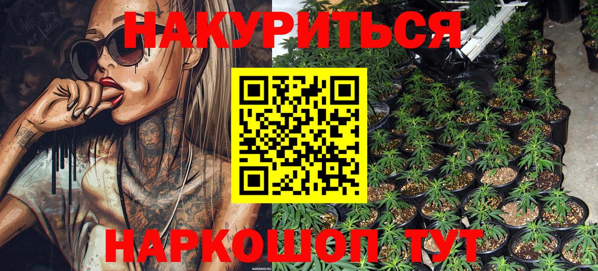 Марихуана семена Великие Луки